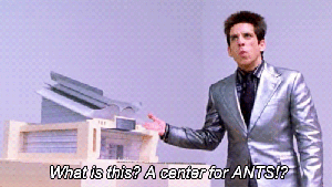 What-is-this-A-Center-For-Ants-Zoolander